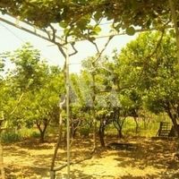 House in Montenegro, Bar, 54 sq.m.