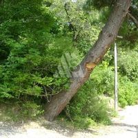 Land plot in Montenegro, Bar