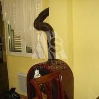 House in Montenegro, Bar, 150 sq.m.