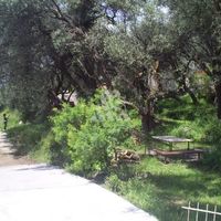 Земельный участок в Черногории, Будва, Пржно