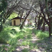 Земельный участок в Черногории, Будва, Пржно