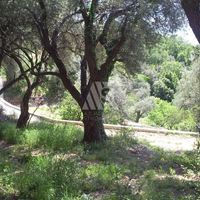 Земельный участок в Черногории, Будва, Пржно