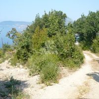 Земельный участок в Черногории, Бар, Сутоморе