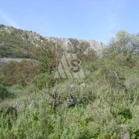 Земельный участок в Черногории, Бар, Утеха