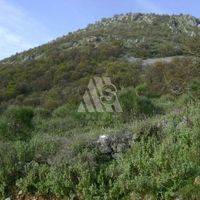 Земельный участок в Черногории, Бар, Утеха