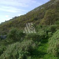 Земельный участок в Черногории, Бар, Утеха