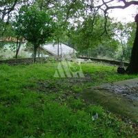 Дом в Черногории, Бар, Сутоморе, 60 кв.м.