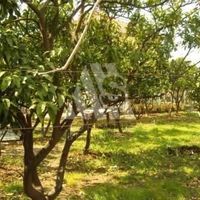 Дом в Черногории, Бар, 190 кв.м.