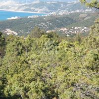 Земельный участок в Черногории, Бар, Утеха