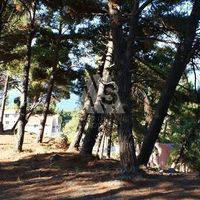 Land plot in Montenegro, Bar