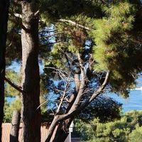 Land plot in Montenegro, Bar