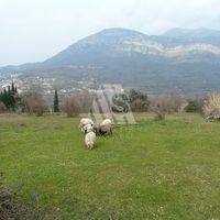 Land plot in Montenegro, Bar