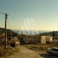 Дом в Черногории, Бар, Сутоморе, 330 кв.м.