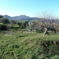 Земельный участок в Черногории, Бар