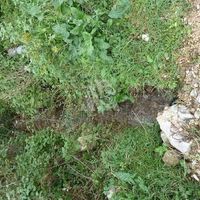 Земельный участок в Черногории, Бар