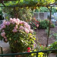 House in the suburbs in Montenegro, Bar, Sutomore, 65 sq.m.