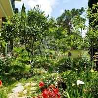 House in Montenegro, Bar, 400 sq.m.