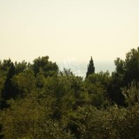 Дом в Черногории, Бар, Сутоморе, 400 кв.м.