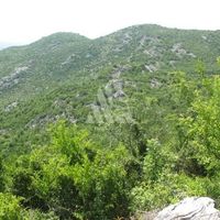 Земельный участок в Черногории, Бар, Сутоморе