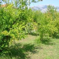 Дом в Черногории, Бар, 60 кв.м.