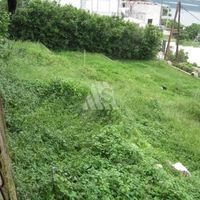 Земельный участок в Черногории, Котор, Пераст