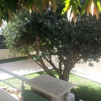 Квартира на Кипре, Лимасол, 180 кв.м.