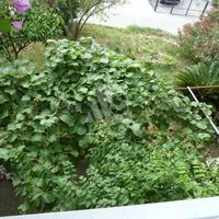 Дом в Черногории, Бар, Сутоморе, 220 кв.м.