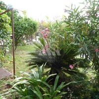 Дом в Черногории, Бар, Сутоморе, 220 кв.м.