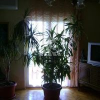 Дом в Черногории, Бар, Сутоморе, 136 кв.м.