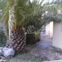 Дом в Черногории, Бар, Сутоморе, 67 кв.м.