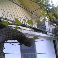 Дом в Черногории, Бар, Сутоморе, 67 кв.м.