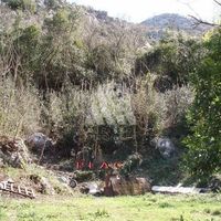 Other commercial property in Montenegro, Kotor