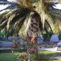 Дом в Черногории, Бар, Сутоморе, 70 кв.м.