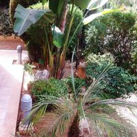 Villa in Republic of Cyprus, Lemesou, 300 sq.m.