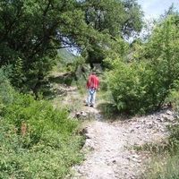 Земельный участок в Черногории, Тиват