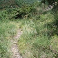 Земельный участок в Черногории, Тиват