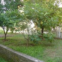 Квартира в Черногории, Бар, Сутоморе, 70 кв.м.