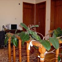 Дом в Черногории, Бар, 350 кв.м.