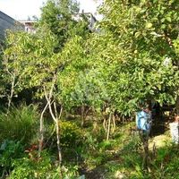 House in Montenegro, Bar, Sutomore, 40 sq.m.