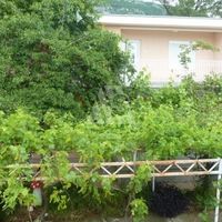 Дом в Черногории, Бар, Сутоморе, 170 кв.м.