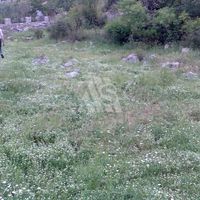 Land plot in Montenegro, Tivat, Radovici