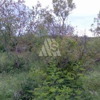 Land plot in Montenegro, Tivat, Radovici