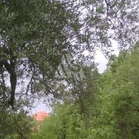 Земельный участок в Черногории, Бар, Сутоморе