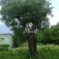 Земельный участок в Черногории, Бар, Сутоморе