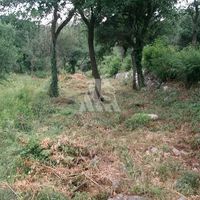 Земельный участок в Черногории, Бар