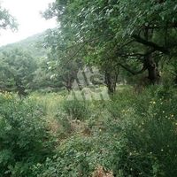 Земельный участок в Черногории, Бар