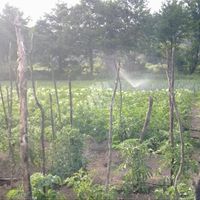 Land plot in Montenegro, Bar, Sutomore