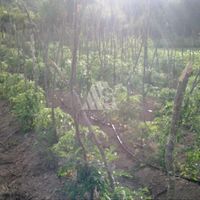 Land plot in Montenegro, Bar, Sutomore