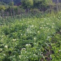 Land plot in Montenegro, Bar, Sutomore