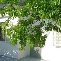 House in Montenegro, Bar, Sutomore, 65 sq.m.